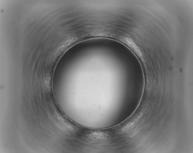 X0000088580441200706011117