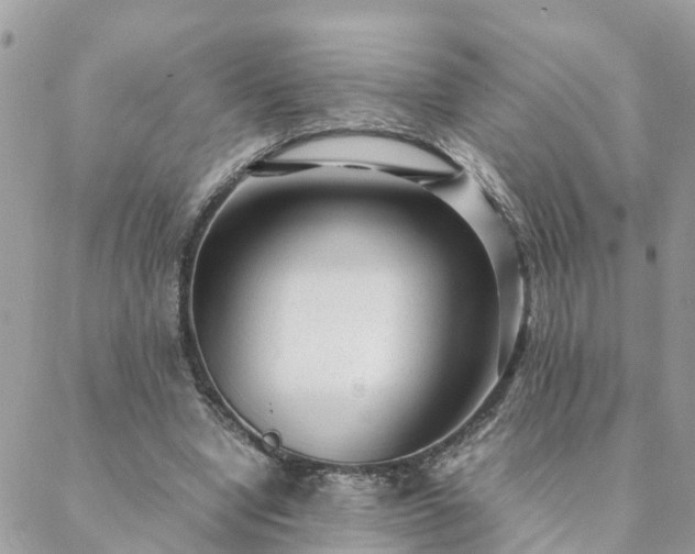 X0000088580442200706011117