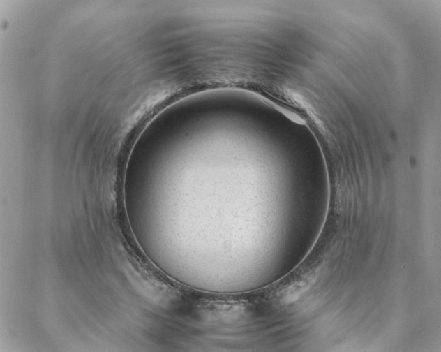 X0000088580443200706011117