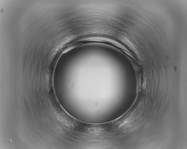 X0000088580444200706011117