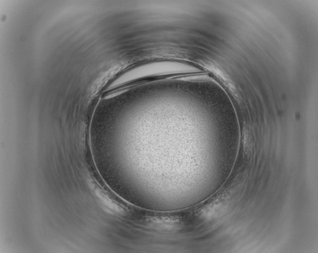 X0000088580445200706011117