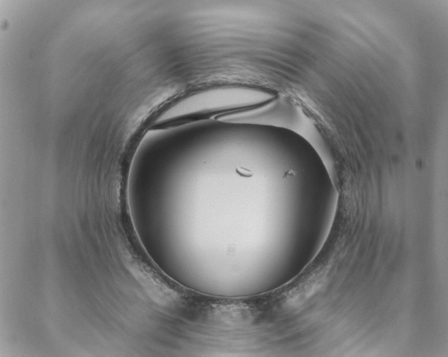 X0000088580446200706011117