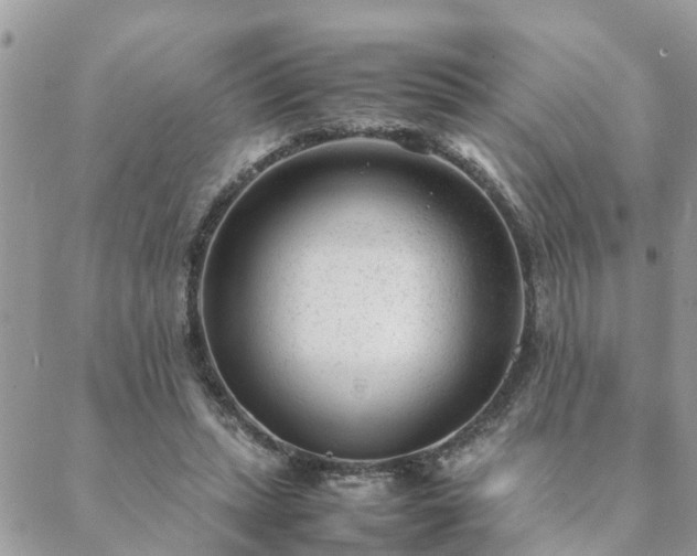 X0000088580447200706011117