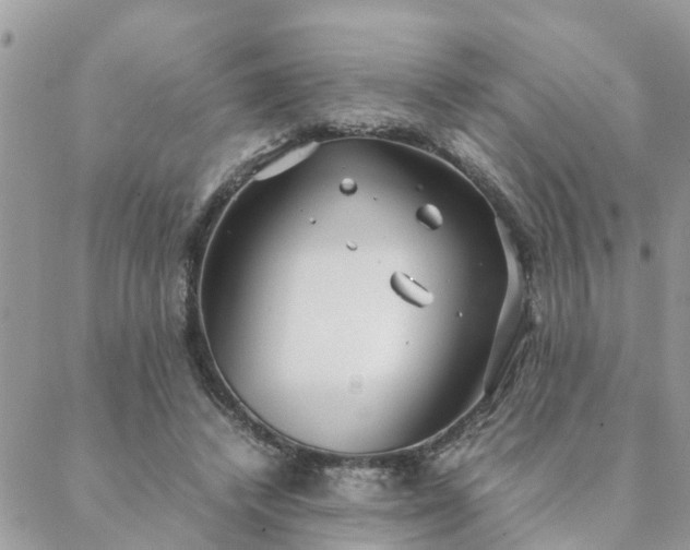 X0000088580448200706011117