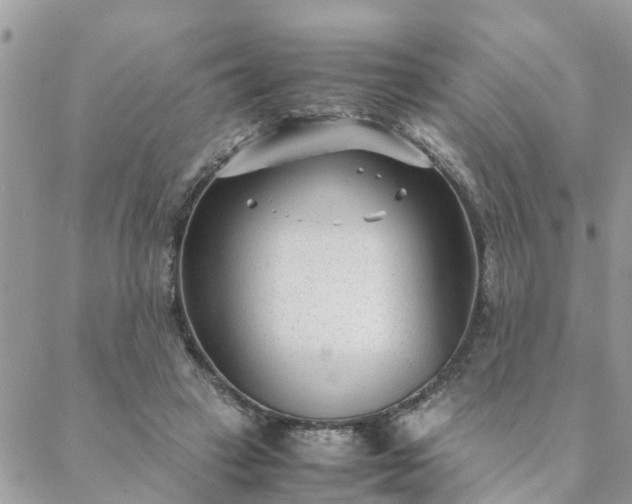 X0000088580449200706011117