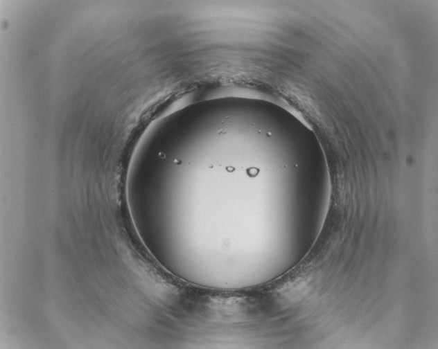 X0000088580450200706011117