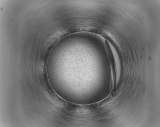 X0000088580451200706011117