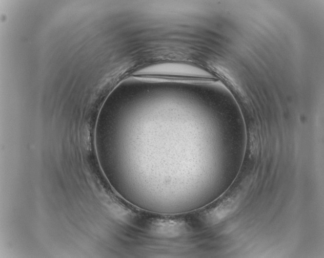 X0000088580453200706011117