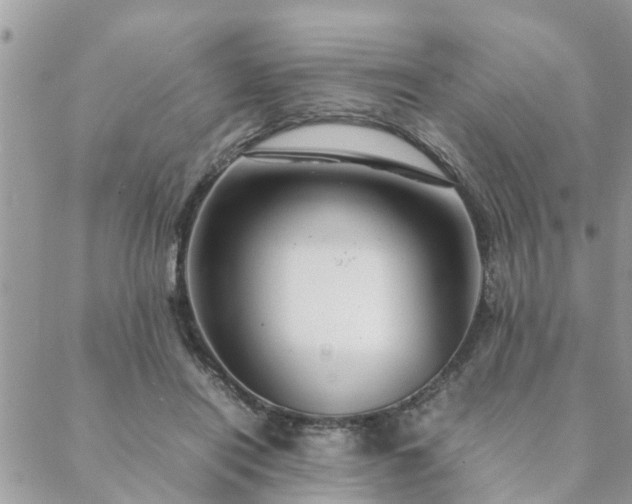 X0000088580454200706011117