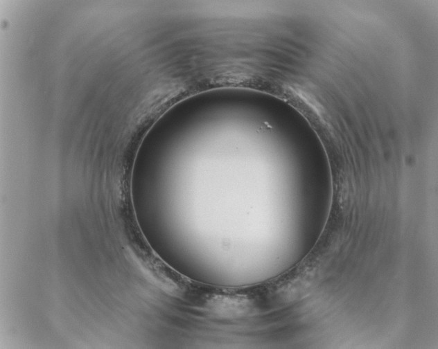 X0000088580455200706011117