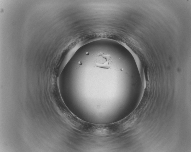 X0000088580456200706011117