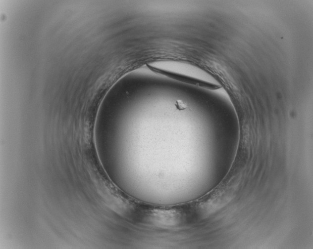 X0000088580457200706011117