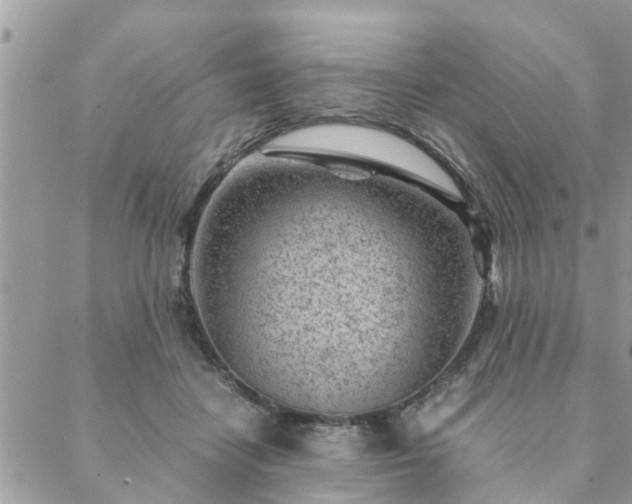 X0000088580458200706011117