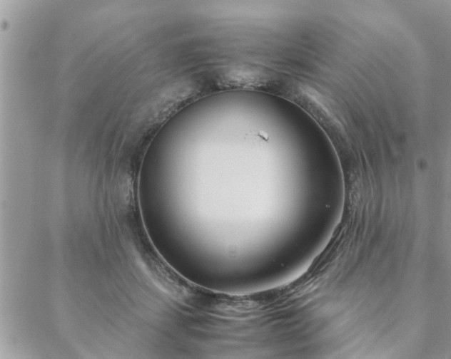 X0000088580459200706011117