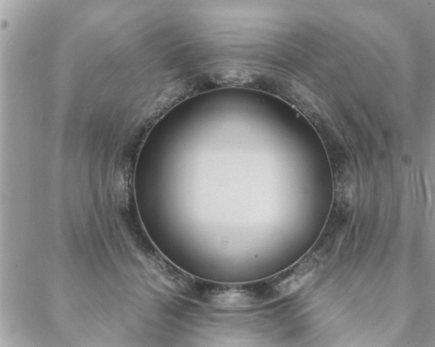 X0000088580460200706011117