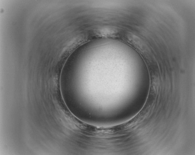 X0000088580461200706011117