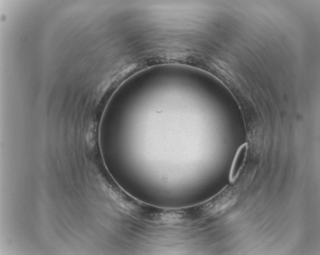 X0000088580462200706011117