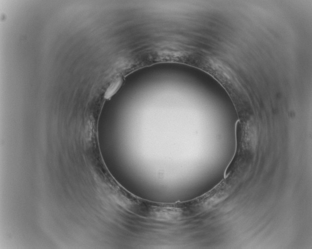 X0000088580463200706011117