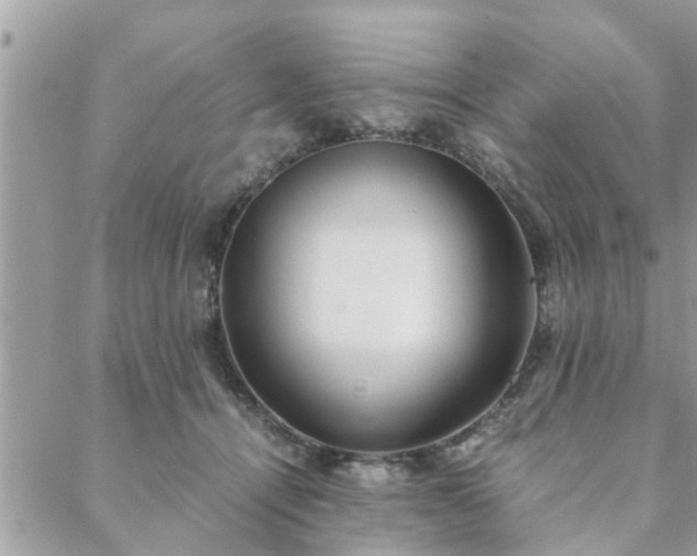 X0000088580464200706011117