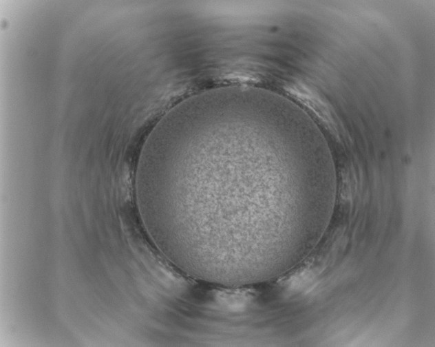 X0000088580465200706011117