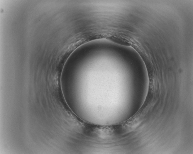 X0000088580466200706011117