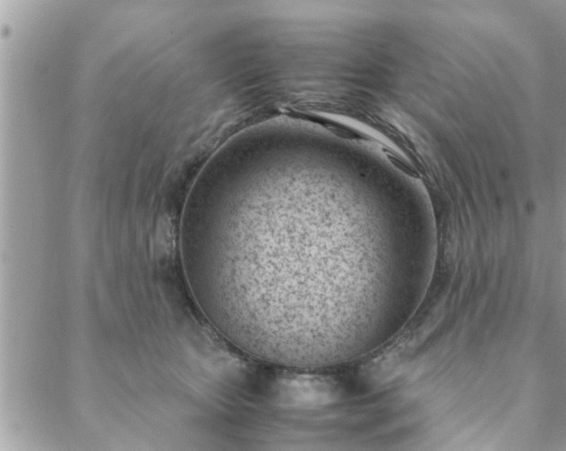 X0000088580467200706011117