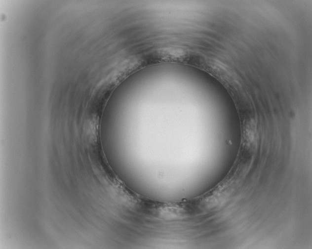 X0000088580468200706011117