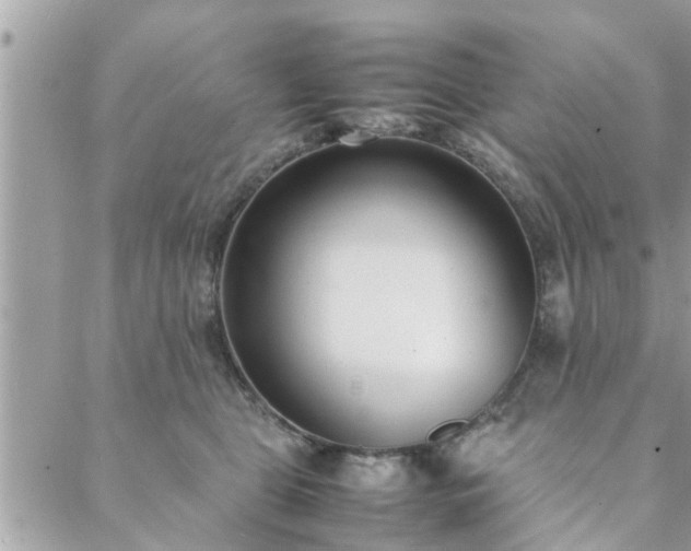 X0000088580469200706011117