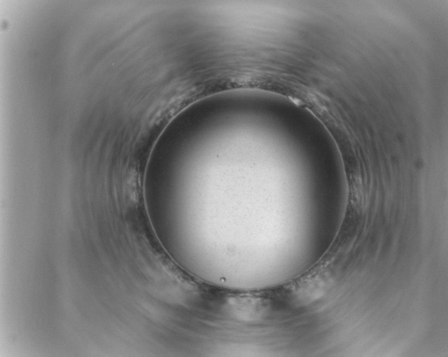 X0000088580470200706011117