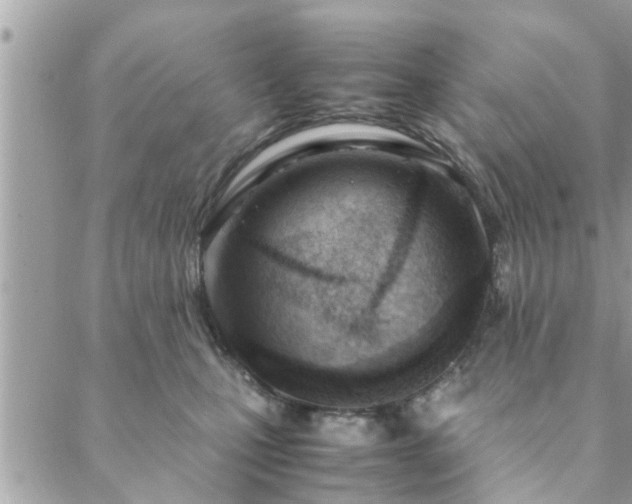 X0000088580471200706011117