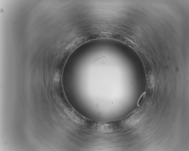 X0000088580472200706011117