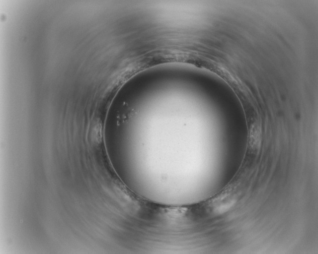 X0000088580474200706011117