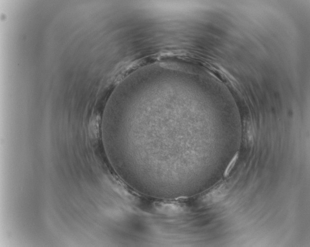 X0000088580475200706011117