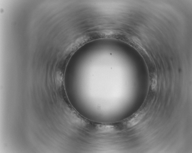 X0000088580476200706011117