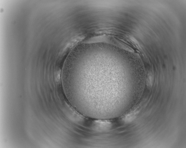 X0000088580477200706011117