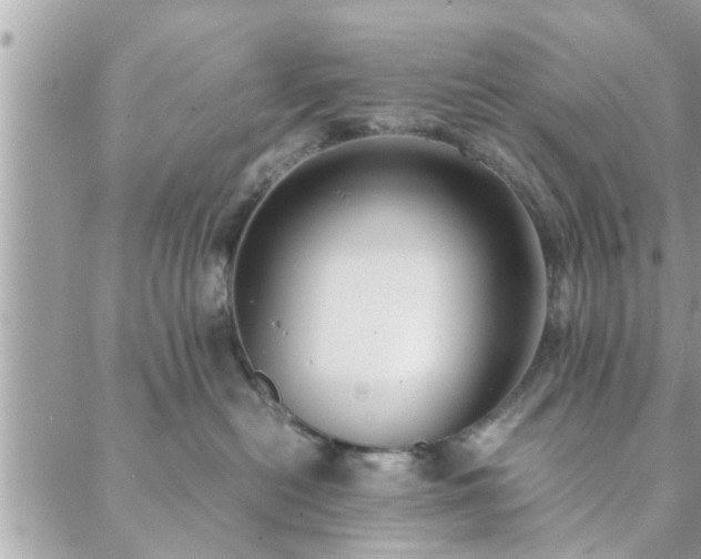 X0000088580478200706011117