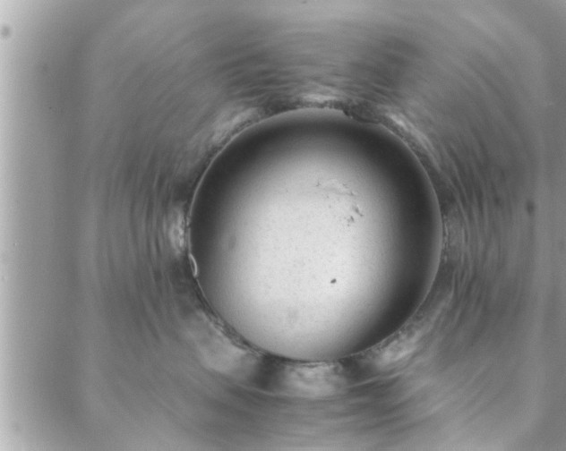 X0000088580479200706011117