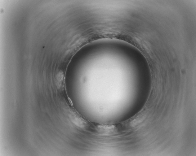 X0000088580480200706011117