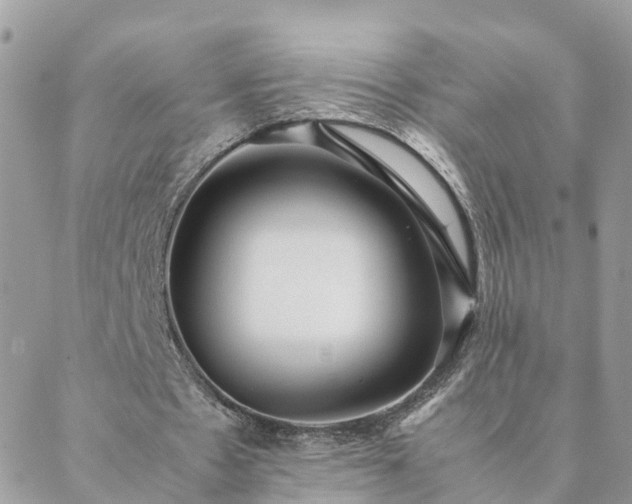 X0000088580481200706011116