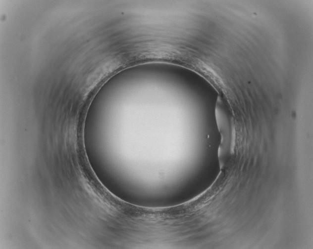 X0000088580482200706011116