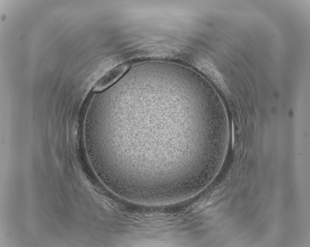 X0000088580483200706011116