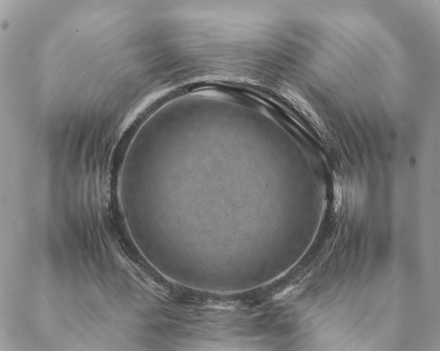 X0000088580484200706011116