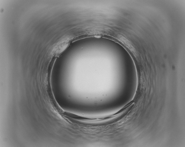 X0000088580485200706011116