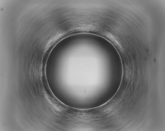 X0000088580486200706011116