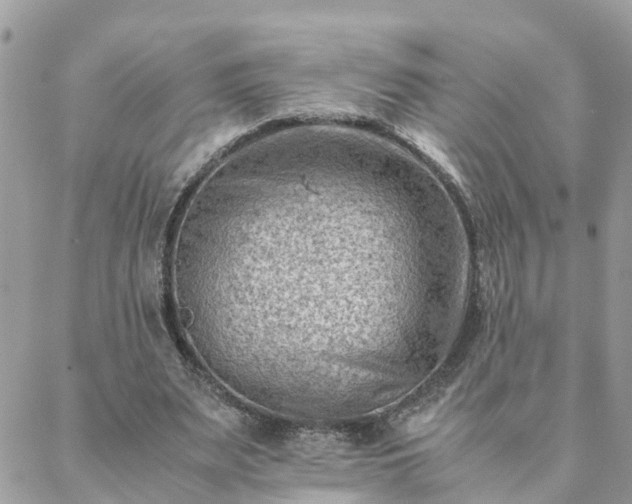 X0000088580487200706011116