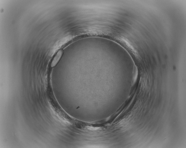 X0000088580488200706011116