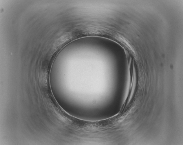 X0000088580489200706011116