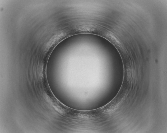 X0000088580490200706011116