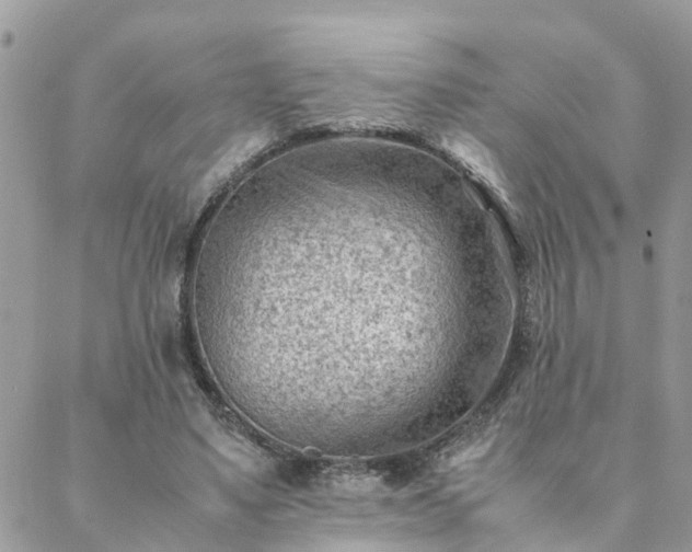 X0000088580491200706011116