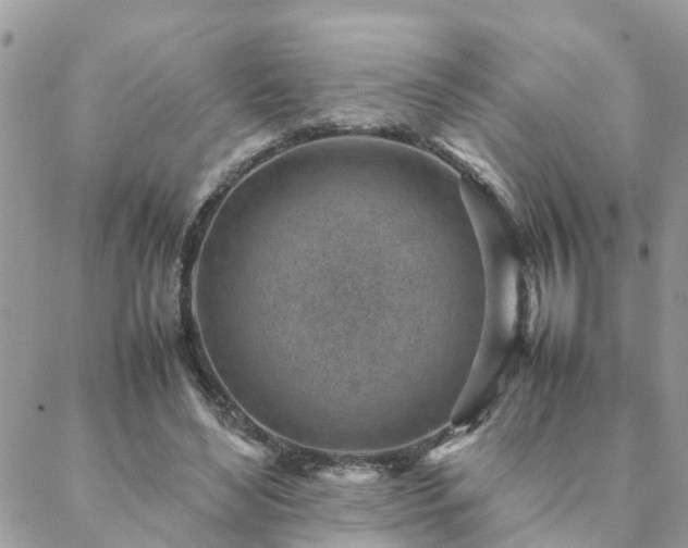 X0000088580492200706011116